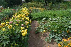 Potager d'Orbey