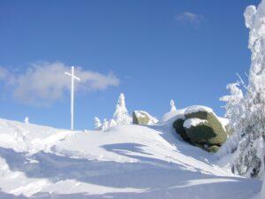 Tête des faux en hiver